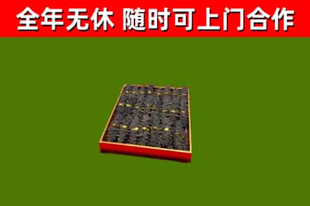 君山回收海参